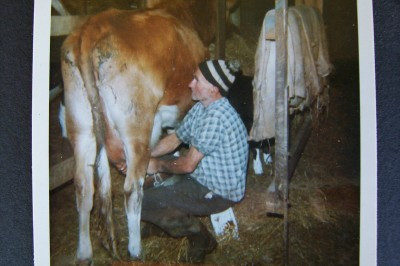 aqualino-jnr-milking.jpg