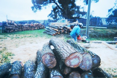 splitting-logs.jpg