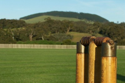 stumps.jpg